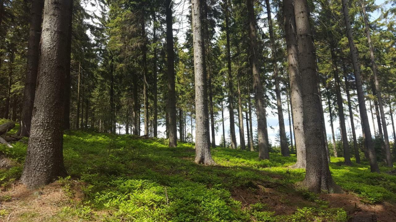 Rs Bernov Zatisi Otel Nejdek Dış mekan fotoğraf